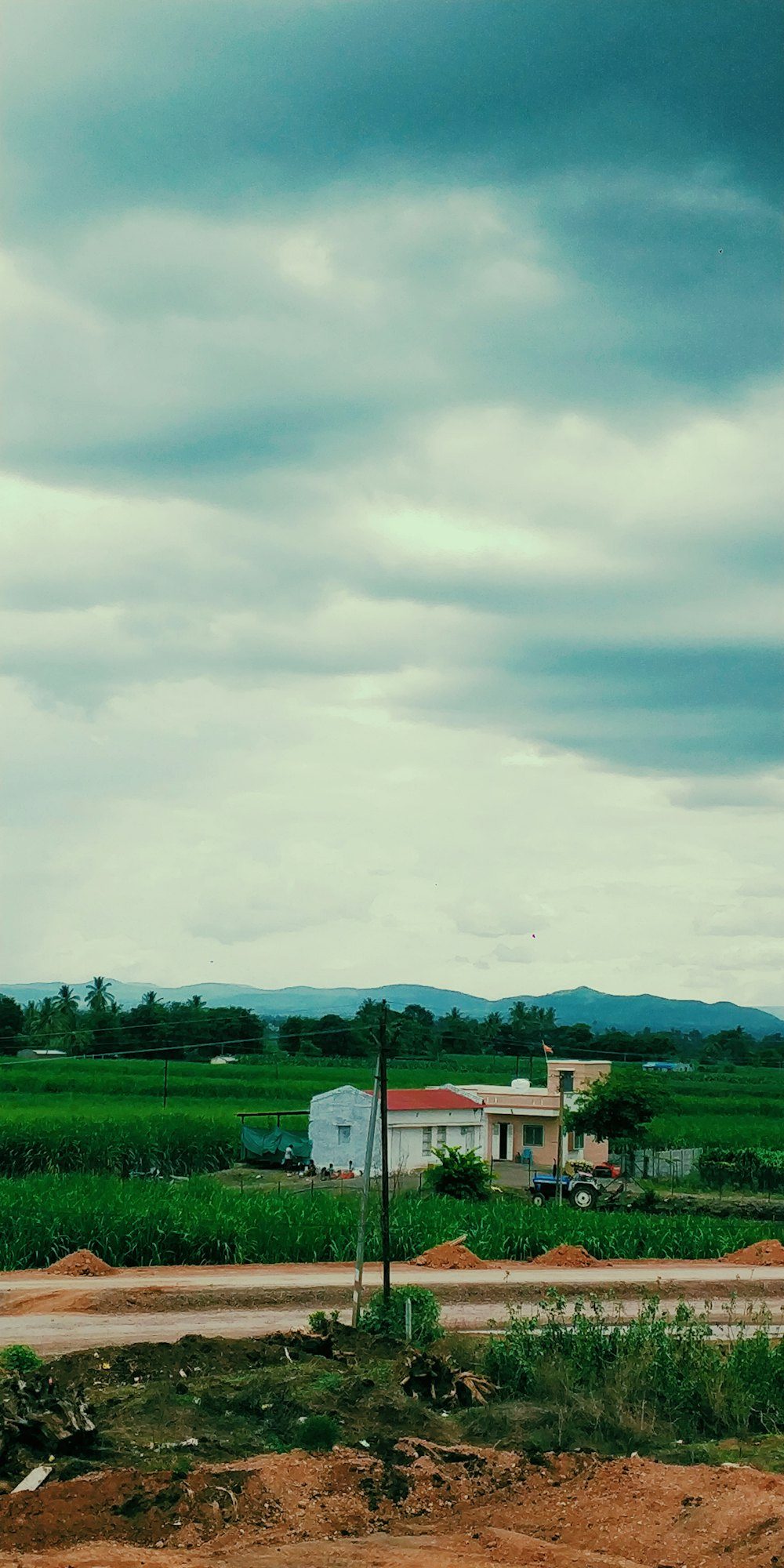 Green fields near houses in Maharashtra