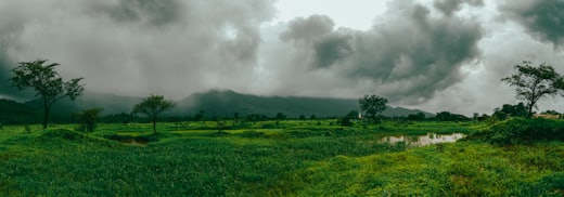 Konkan land