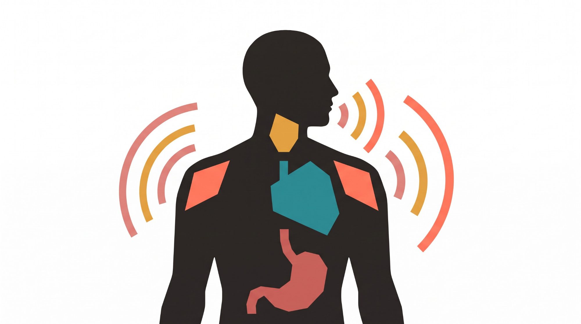 Illustration of a human figure with glowing areas in the throat, chest, shoulders and stomach where emotion is held