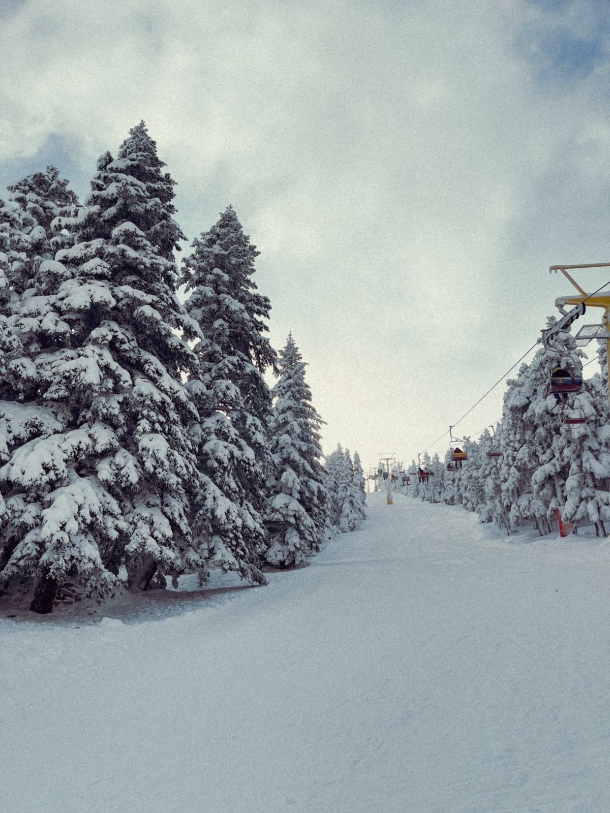 Chairlift rising over a snowy ski slope lined with snow-covered pine trees
