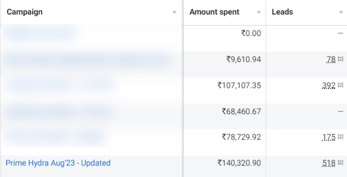 Anonymized Meta Ads Manager campaign-level lead generation results