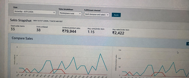 Amazon Sales Snapshot